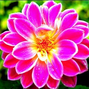 BUNDLE & SAVE SO FILL YOUR SHOPPING CART